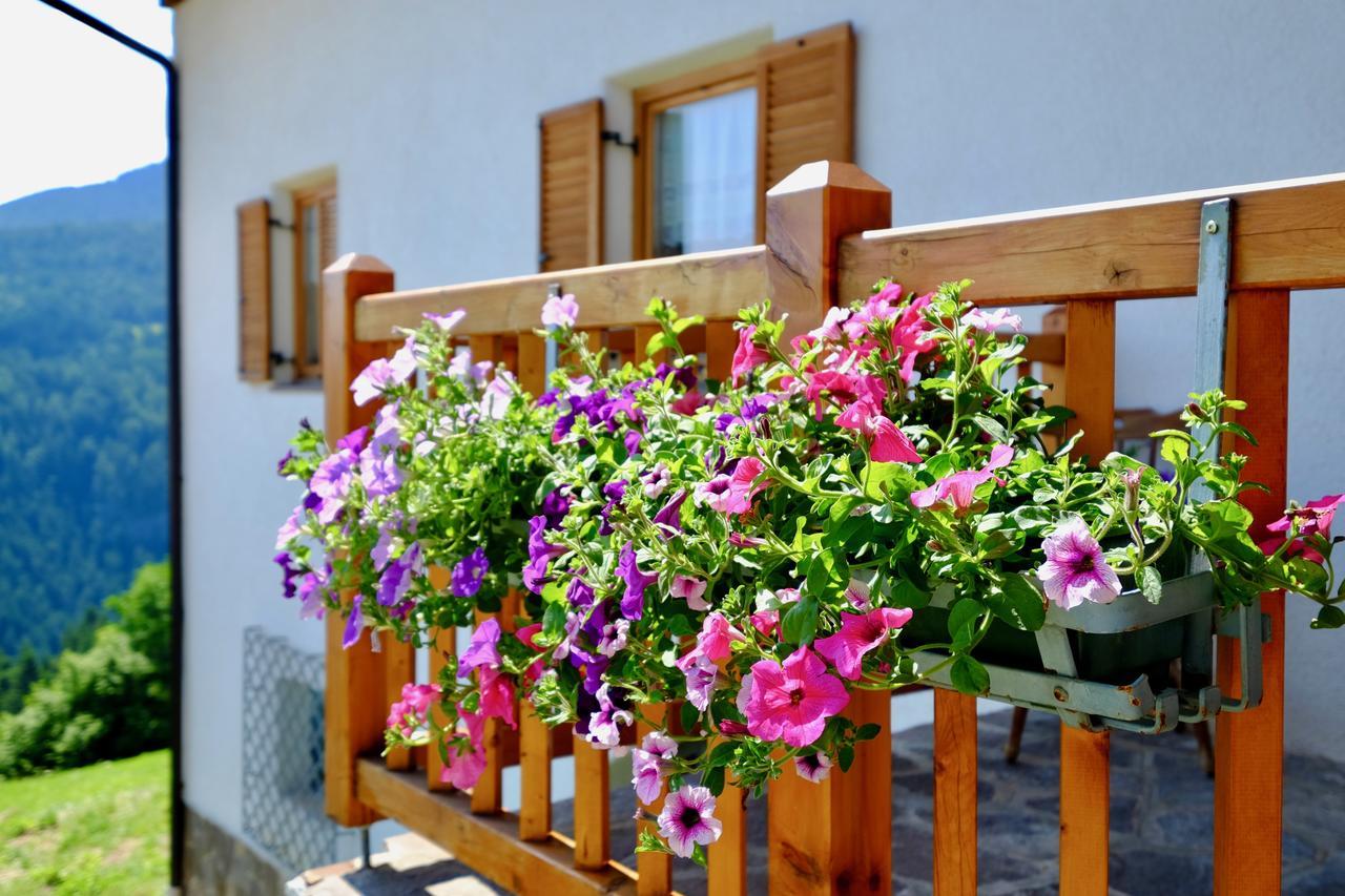 Agriturismo Reinhof San Felice Kültér fotó